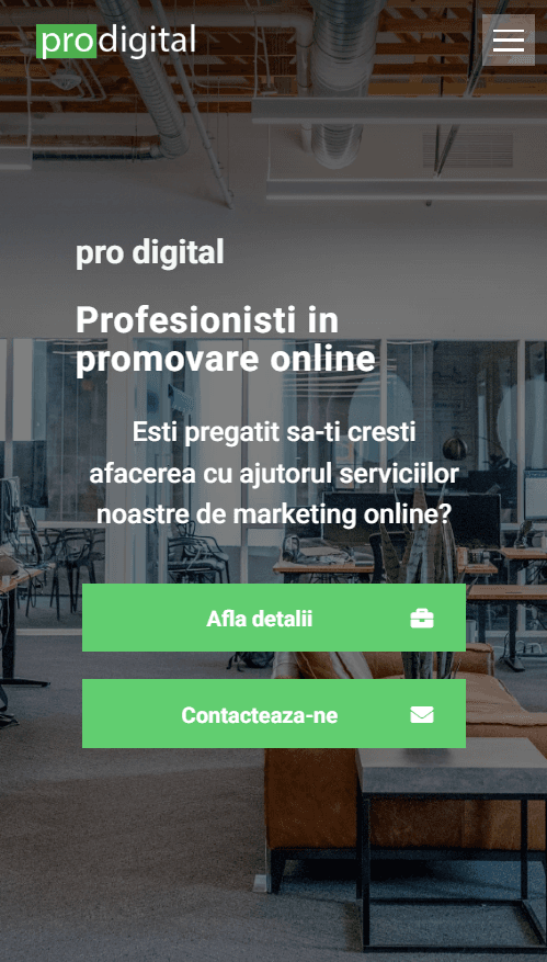 ProDigital: Automatizare de campanii pentru o agenție care trimitea totul manual.